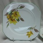 Shelley Yellow Syringa cup saucer and plate pattern 12026
